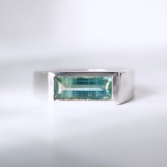 Bi-color kyanite signet ring